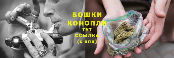 прущие грибы Краснослободск