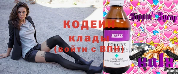 прущие грибы Краснослободск