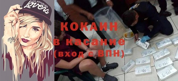 прущие грибы Краснослободск