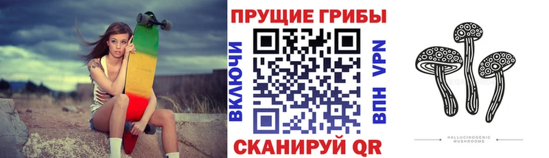 Псилоцибиновые грибы Cubensis  закладки  Монино 